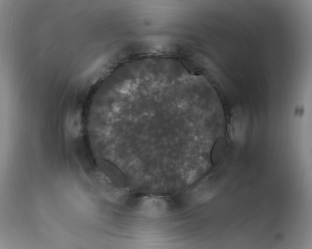 X0000112850520200909111448