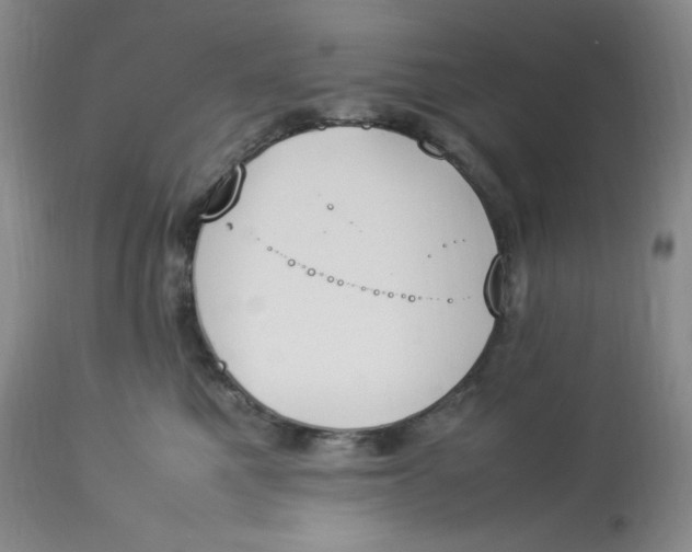 X0000112850521200909111448