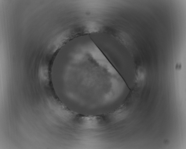 X0000112850524200909111448