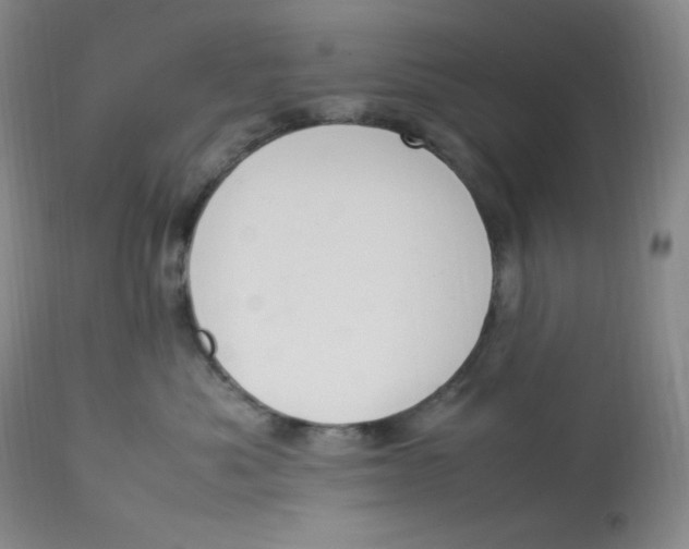 X0000112850525200909111448