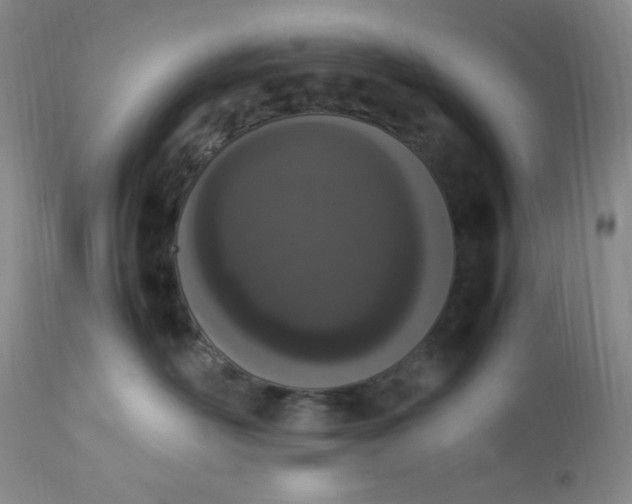 X0000112850526200909111448