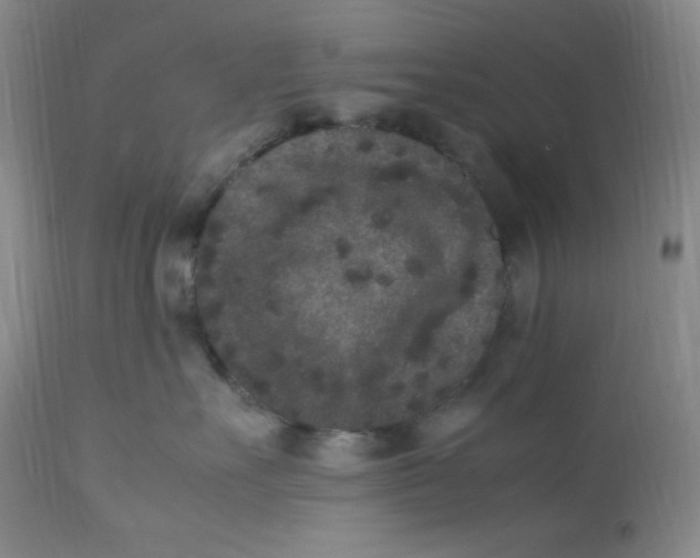 X0000112850527200909111448