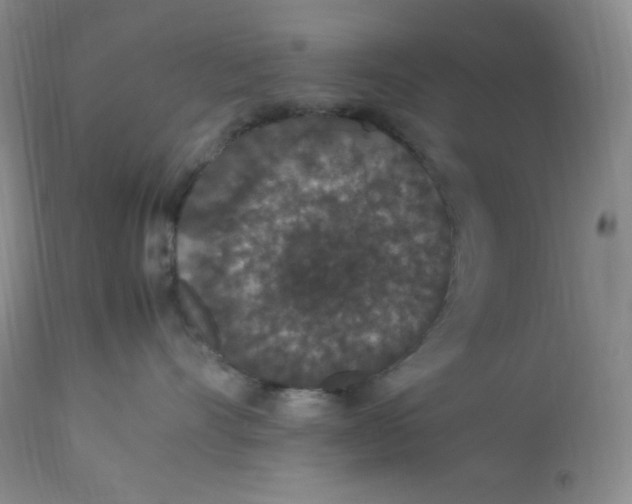 X0000112850528200909111448