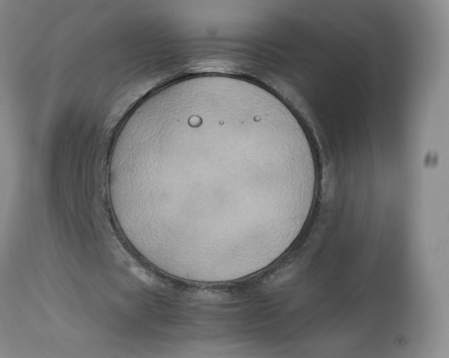 X0000112850529200909111448