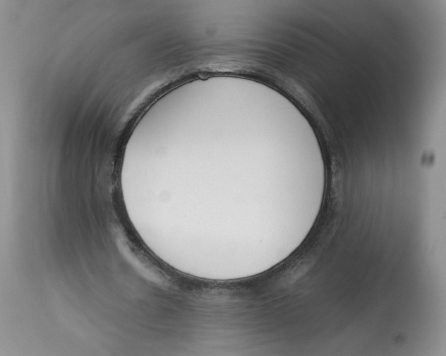 X0000112850530200909111448