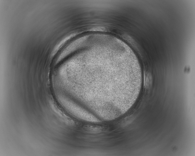 X0000112850531200909111448