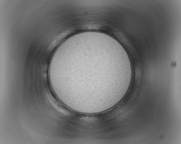 X0000112850537200909111448