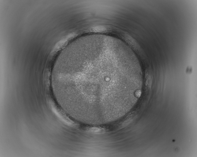 X0000112850542200909111448