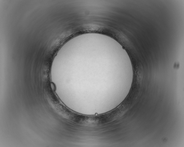 X0000112850546200909111448