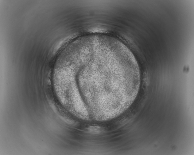 X0000112850547200909111448