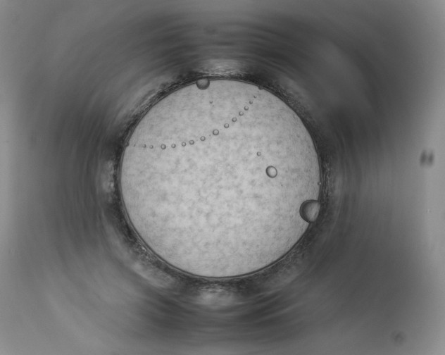 X0000112850549200909111448