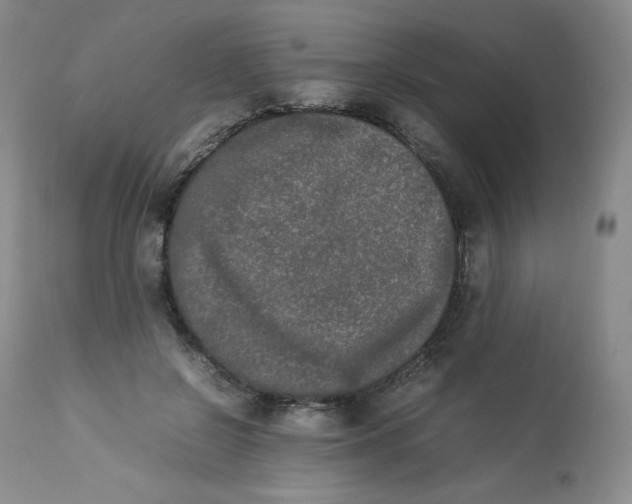 X0000112850550200909111448