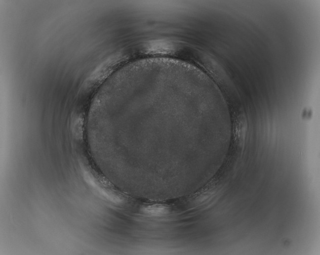 X0000112850551200909111448