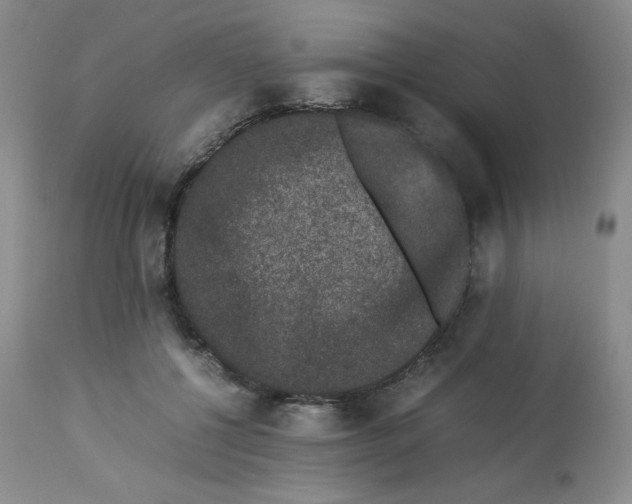 X0000112850552200909111448