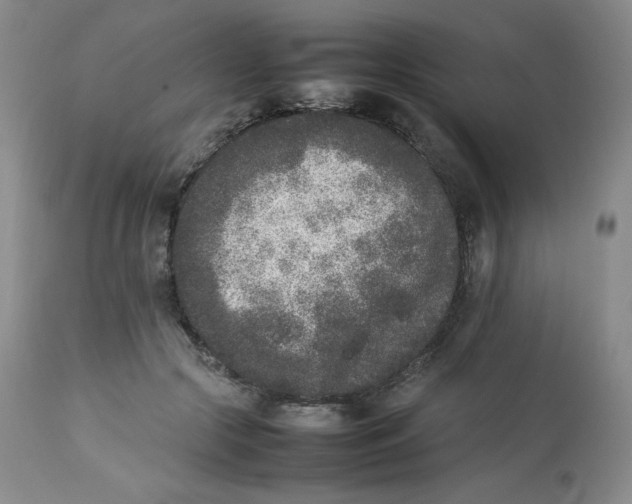 X0000112850553200909111448