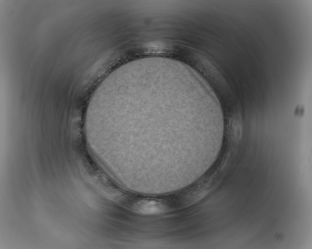 X0000112850557200909111448