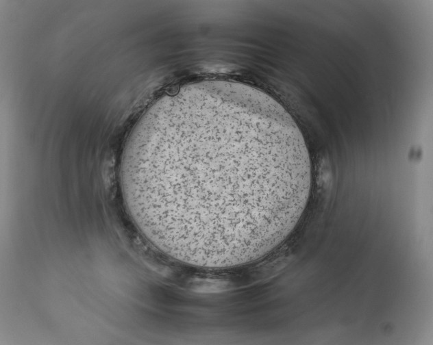 X0000112850559200909111448