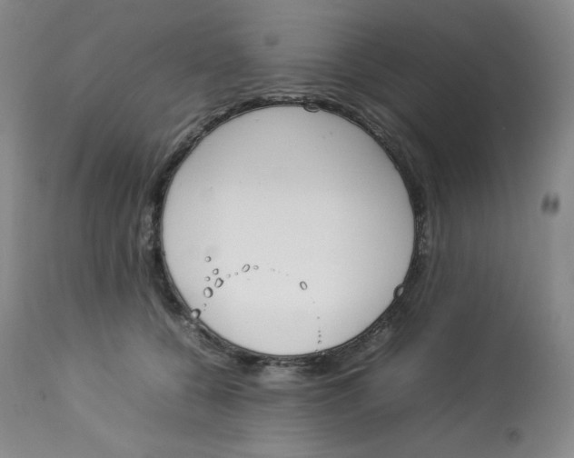 X0000112850560200909111448