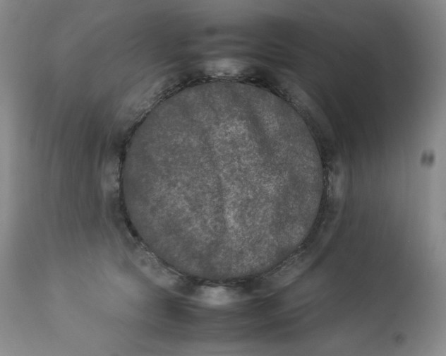 X0000112850561200909111448