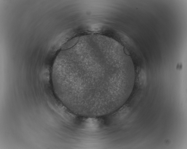 X0000112850562200909111448