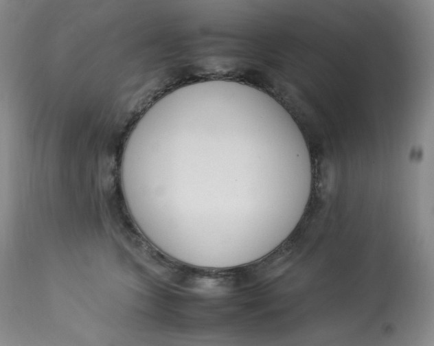 X0000112850563200909111448