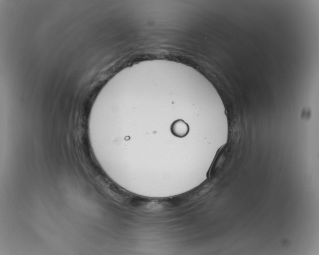 X0000112850566200909111448