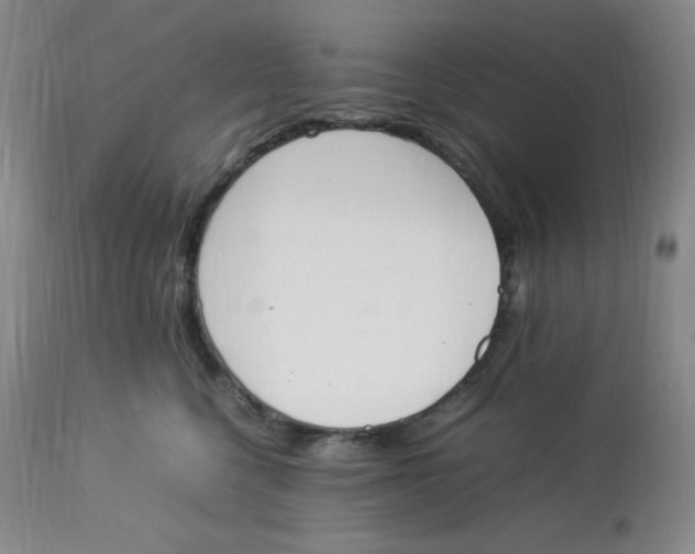 X0000112850568200909111448