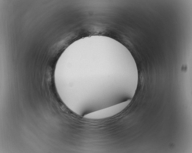 X0000112850570200909111448