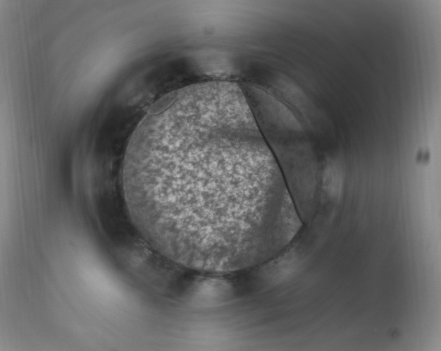 X0000112850572200909111448