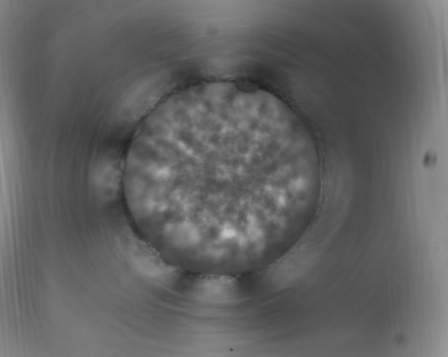 X0000112850576200909111448