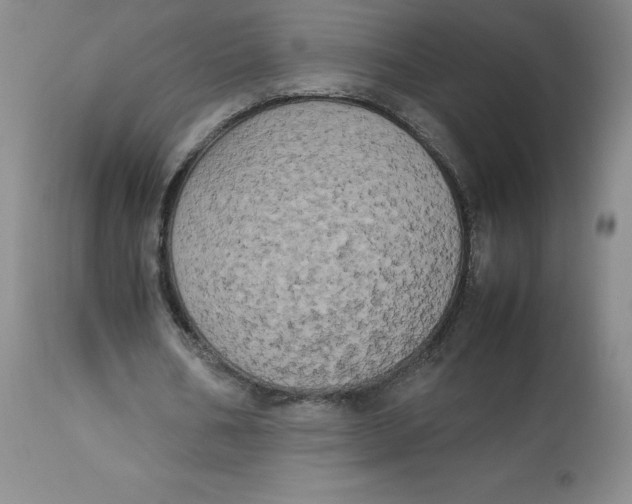 X0000112850578200909111448