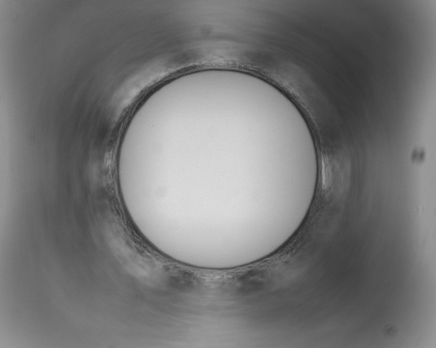 X0000112850579200909111448