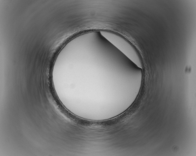 X0000112850581200909111448