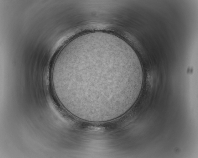 X0000112850582200909111448