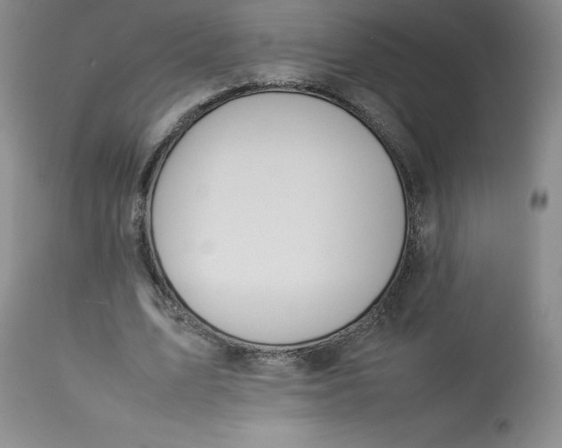 X0000112850583200909111448