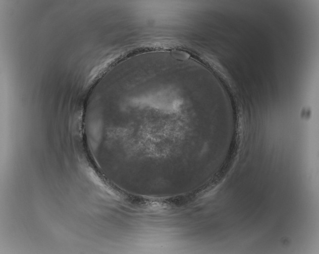 X0000112850585200909111447