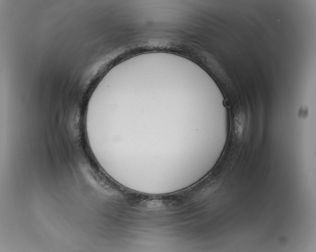 X0000112850588200909111447