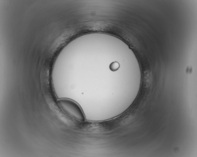 X0000112850589200909111447