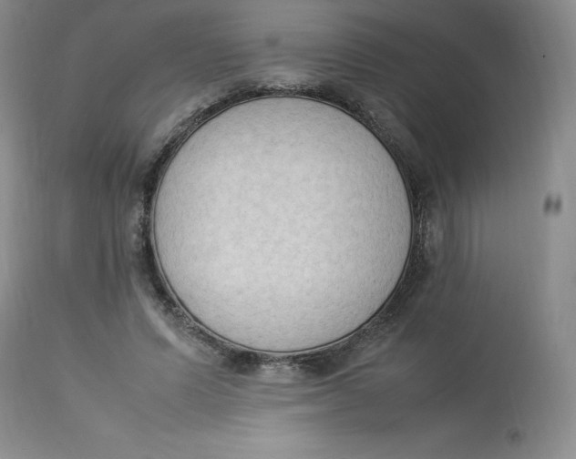 X0000112850591200909111447