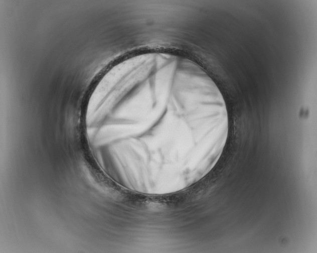 X0000112850592200909111447