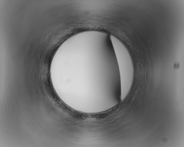 X0000112850593200909111447