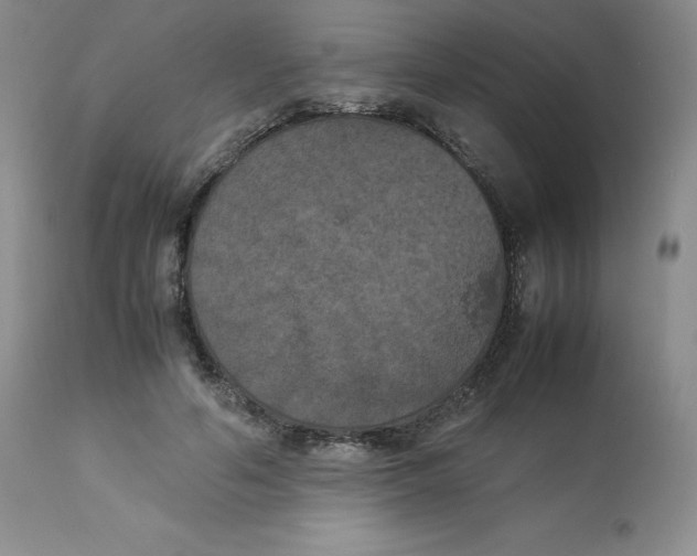 X0000112850594200909111447