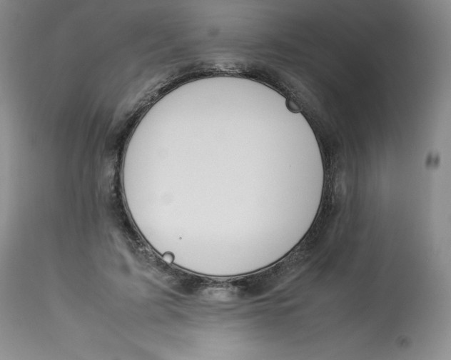 X0000112850595200909111447