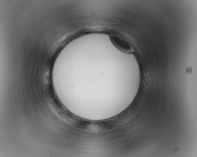 X0000112850596200909111447