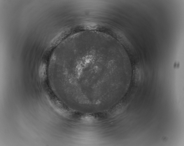 X0000112850598200909111447