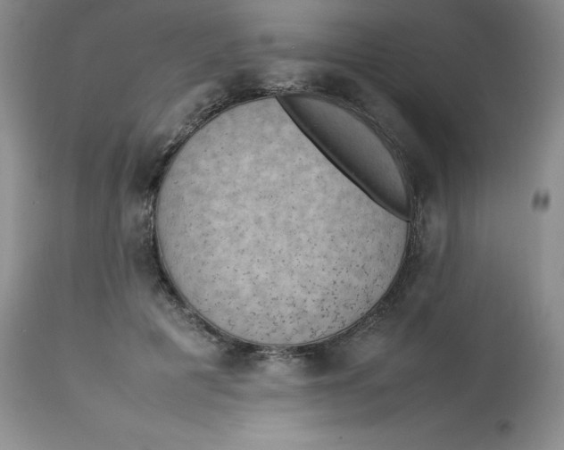 X0000112850601200909111447