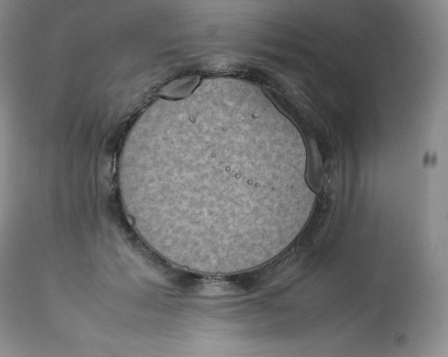 X0000112850605200909111447