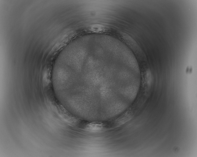 X0000112850606200909111447