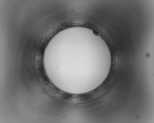 X0000112850608200909111447