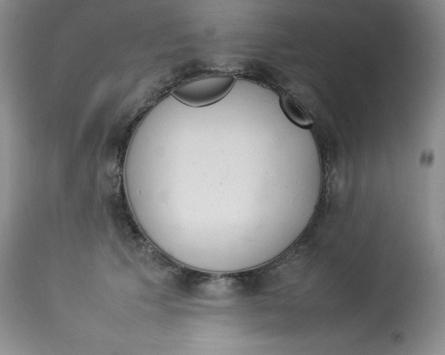 X0000112850609200909111447